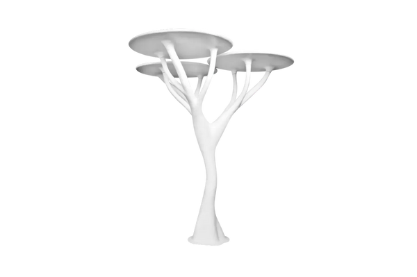 ACACIA