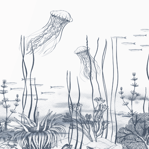 BAJO EL MAR - Dušek Décor
