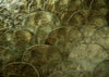 CAMBER - Dušek Décor