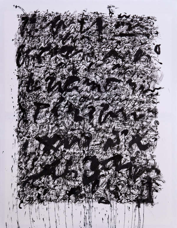 CARBON SCRIPTURE