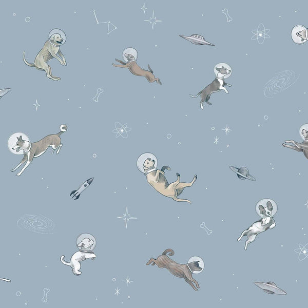 DOGGY GRAVITY - Dušek Décor