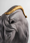 EQUINUS - Dušek Décor