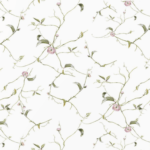 HANGING PLANTS - Dušek Décor