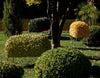 HARRY - Dušek Décor