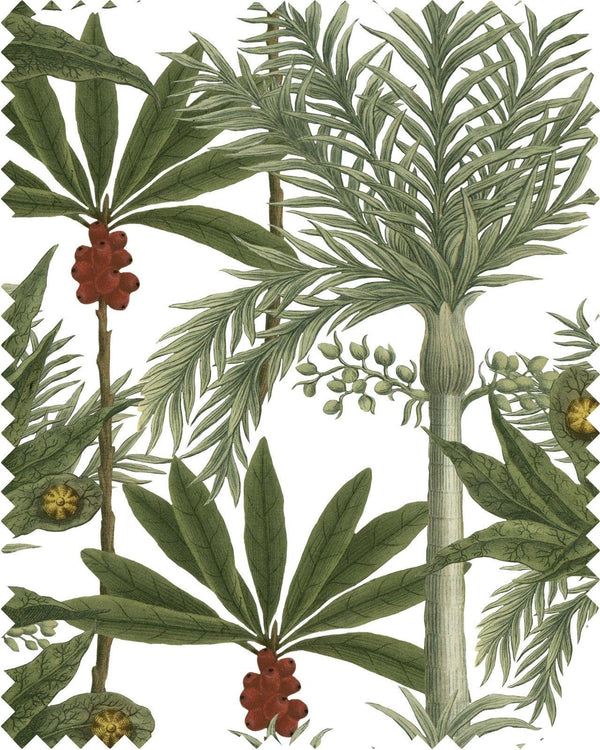 MADAGASCAR - Dušek Décor