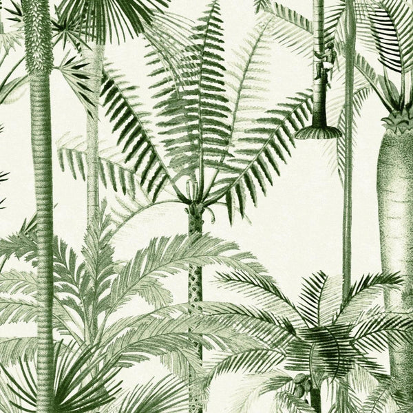 PALMERA CUBANA - Dušek Décor