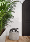 PANTHER - Dušek Décor