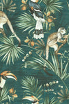 SUMATRA - Dušek Décor
