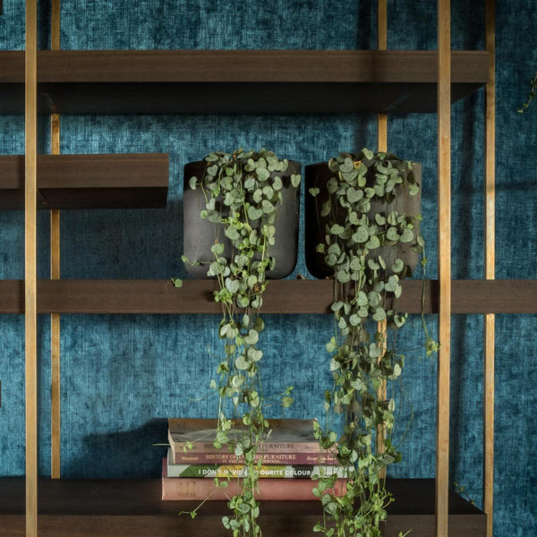 TARTAN - Dušek Décor