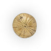 URCHIN - Dušek Décor