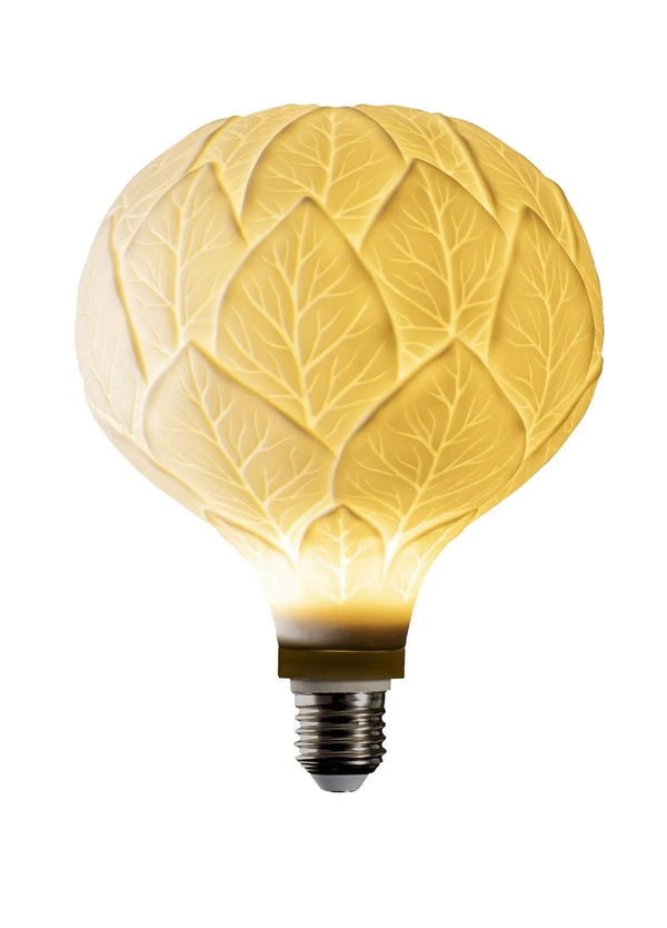 OAK BULB