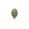 CRONICS