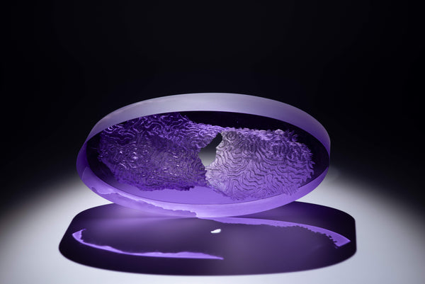 ELIPSA III PURPLE