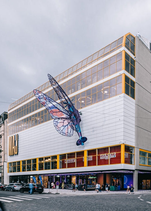 MAJ NARODNI | Dusek Decor