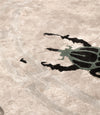 GOLDEN BUGS RUG