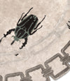 GOLDEN BUGS RUG