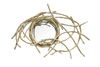 NEST