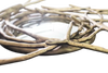 NEST