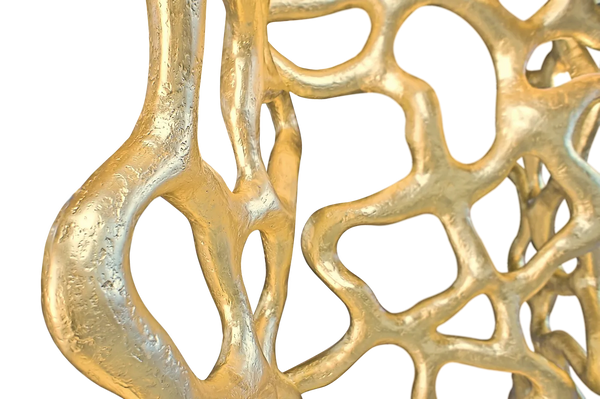 ROOTS